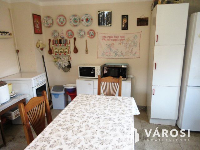 Egy igazi lovas paradicsom Baks központjában